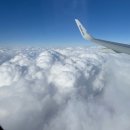 폭시호텔 | 일본여행 나고야 아기랑 🇯🇵🤍 대가족 숙소 추천 더로얄파크호텔 아이코닉 나고야 ▶️ 위치와 주차 솔직 후기