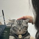 긍정럭키천재