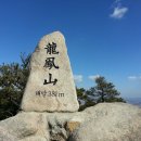 용봉산산림전시관 티스토리