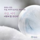 지금 여기 네이버블로그