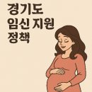 경기도 안성보건소 | 경기도 임산부 혜택 총정리! (임산부정책+신청방법)