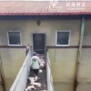 서명농장 이미지