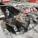 부산새벽시장 이미지