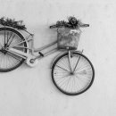 헬스키퍼 이미지