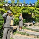 나리뷰(n_review) | 진해 가볼만한곳 진해보타닉뮤지엄 숲속 힐링 산책코스