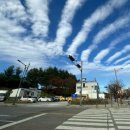 UR(강릉시)-[가작로]-상-17 | 강릉 맛집 추천 :: 전화 1,000통 끝에 다녀온 <이모네 생선찜>