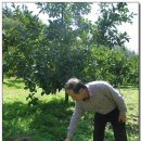 갈방산 곶감농원