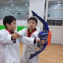 VIP태권도 이미지