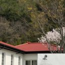 수나로이 이미지