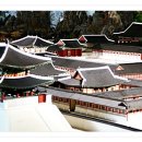 오백년이야기 이미지