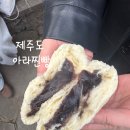 아라어린이공원 | 제주도 아라찐빵 가격 예약 방법 맛 후기 총정리