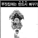 [광복 70년… 물건의 추억] [16] 아파트 거실마다 &#39;뻐꾸기시계&#39; 이미지