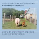 에스더 - 여수시 여서1로 88 | 에스더