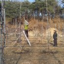 맹순이농장 이미지