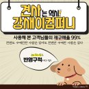 베스트불리캠프(Best bully Camp) | [ 업체 방문 ] 아메리칸 불리 켄넬인 베스트불리캠프(BEST BULLY CAMP) 다녀왔습니다 ~ ! 판넬견사(보온...