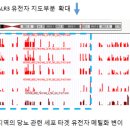 후성 이미지