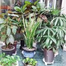 윤미용실 이미지