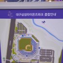 상단지정석 (제일 싼 좌석) 삼성라이온즈 경기 직관 후기 / 시야 예매 가격 먹거리 / 외출 가능 / Daegu...