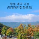 코알라캠핑장