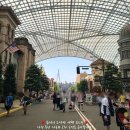 어메이징콰이어 | 오사카(OSAKA) 4박 5일 자유여행 - USJ, 유니버셜 스튜디오 재팬, 추천 놀이기구, 후기, 넷째 날