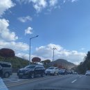 샤인모텔 | [수원 화성] 단풍과 풍경이 어우러진 수원 + 모텔 최악이야...