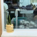 충남목욕탕 | '냥이네 목욕탕' 고양이 미용 내돈내산 솔직후기! (Feat.블로거성격 나타난 글 내용)