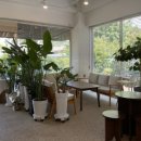 용두카페 이미지