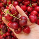 라라수입유통 이미지