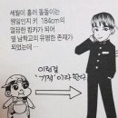 돌돌이 이미지