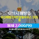 중앙동305 이미지