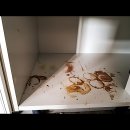 UR(파주시)-[심학산로]-상-5 | 입주청소 업체 선정 기준 5가지와 코바크린 솔직 후기