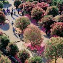 남원읍-13 이미지