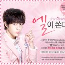 사인엘 이미지