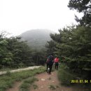 신라대학교 이미지