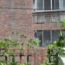 다을어린이집 이미지