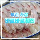 [부산 사상] “바로바로횟집“ 내돈내산 후기