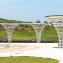 배곧생명공원 이미지