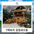 홍대 10월 팝업스토어 티팩토리 감정과수원 방문후기
