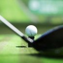 서하남 스크린 골프 이미지