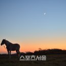 청마목장 이미지
