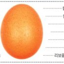 에잇코너스 이미지