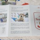 테일웨거 이미지