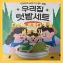 [베란다텃밭] 다이소 우리집 텃밭세트 대파와 깻잎 후기