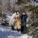 오리다방