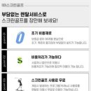 맥스 스크린골프 이미지