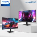 필립스(백합) 이미지