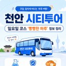 빵빵한 하루 | 천안시티투어버스 빵빵한 하루, 10살 아이랑 기대되는 이유!