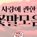 송판사꽃집 - 서구 가장로 120 | 송판사꽃집