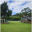 원펜션 | 안면도애견펜션 반려견과 함께한 완벽한 휴식, 조이앤원 애견펜션 후기