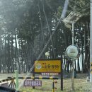 남면 홍현2 화장실 | [태안 여행] 오션뷰 명당 데크 태안 노을숲캠핑장 내돈내산 후기